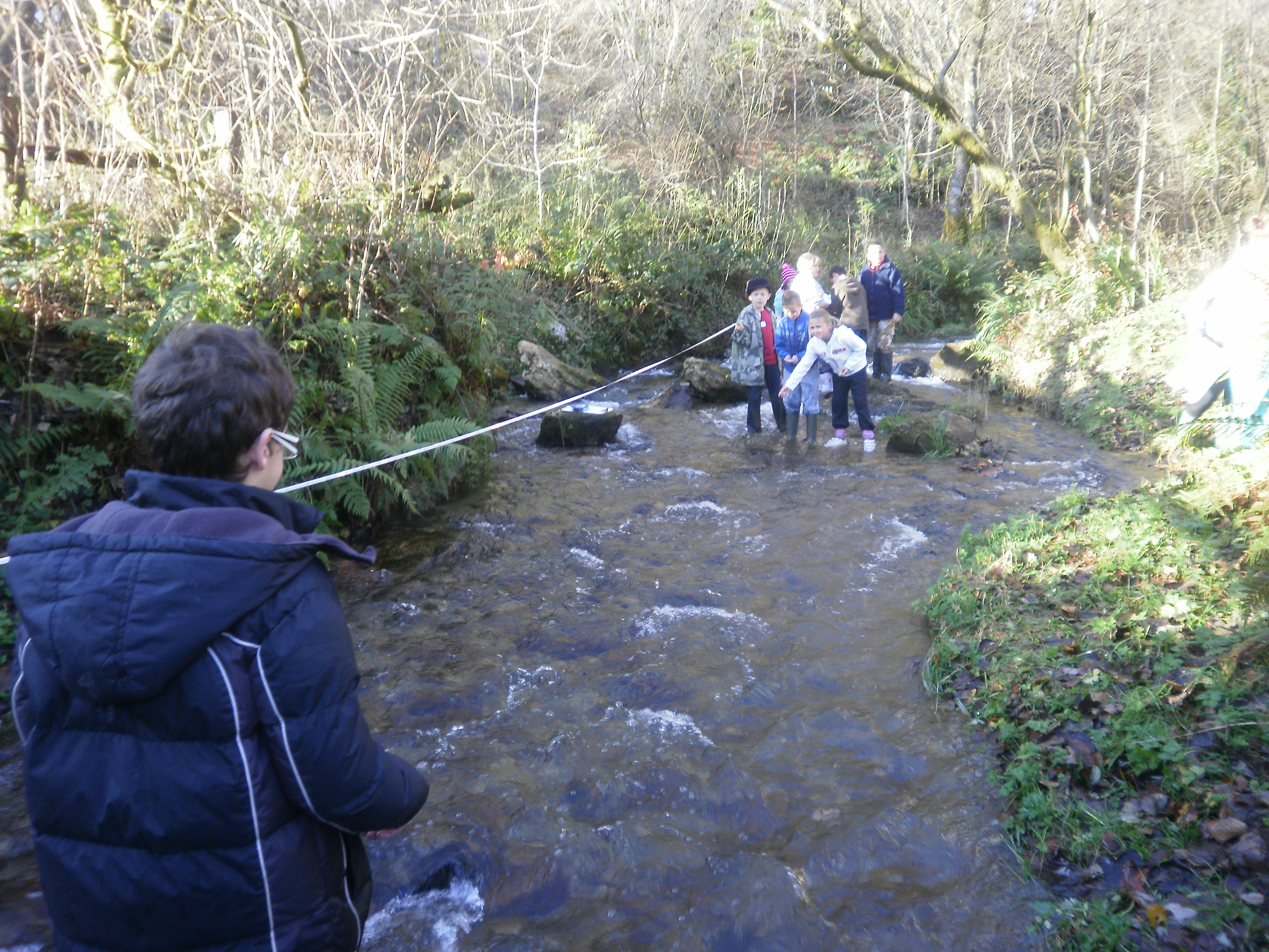 river study Forches 2010 001.jpg